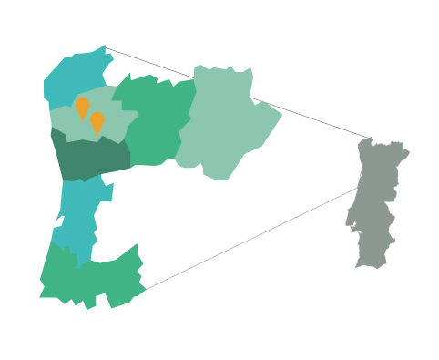 Tour privado por Braga com guia em português -  Portugal