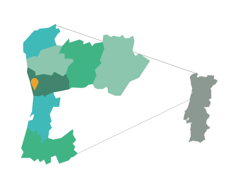 Ecoturismo-Mapa-tours-Porto-tour